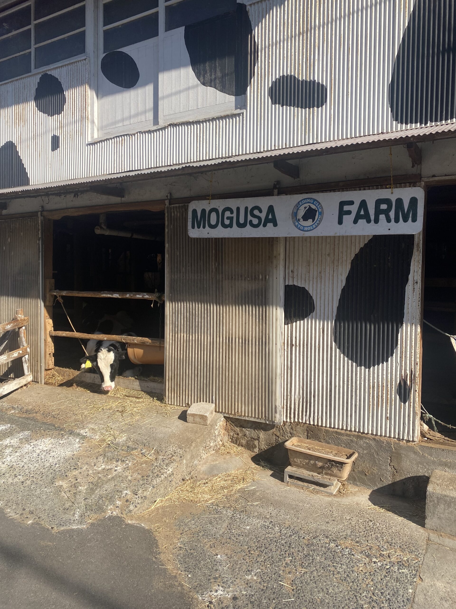 閑静な住宅地で酪農！？